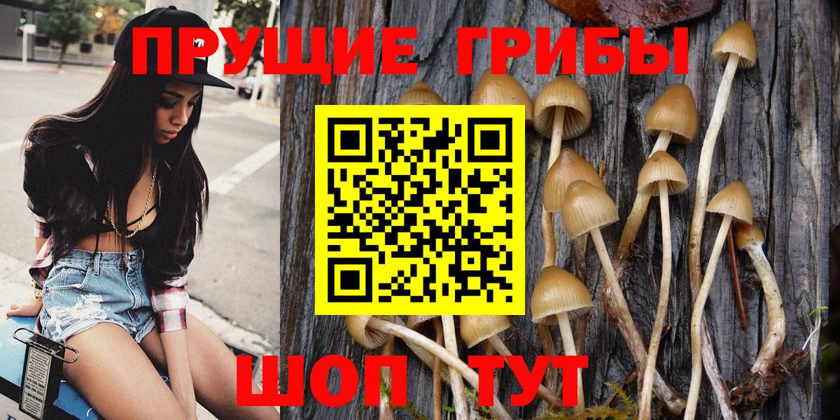 Псилоцибиновые грибы Cubensis Серпухов